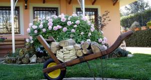 Cariola in legno per legna